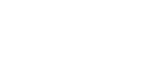 BSM Groupe